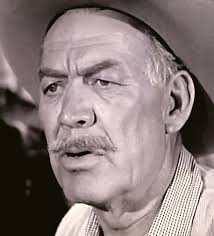 Wagon Train" The Allison Justis Story (TV Episode 1960)