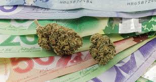 The weed math possibilities are practically endless. How Much Does One Ounce Of Weed Cost Beaver Bud