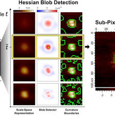 Convolves data with a laplacian of gaussian kernel of radius r and standard deviation σ. Pdf The Hessian Blob Algorithm Precise Particle Detection In Atomic Force Microscopy Imagery