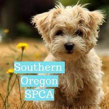Committed alliance to strays, c.a.t.s. Spca Southern Oregon Home Facebook