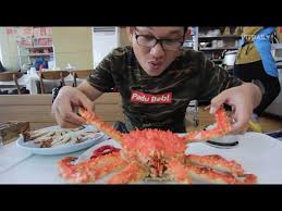 Sebab, kata mui, sudah memperbolehkan penggunaan vaksin ini. Ini Betul Betul King Crab Fresh Dari Korea Youtube