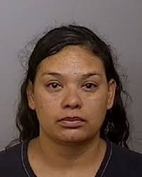 Nearly 30 new Manatee County Jail arrest mugshots