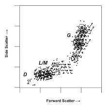 Forward scatter is detected by a photodiode, which converts the light into an forward scatter detectors collect light at small angles relative to the incident beam additionally, because cells scatter so much light in the forward direction. What Is Flow Cytometry Facs Analysis