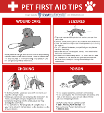 We are dedicated to providing the highest level of veterinary at pets first veterinary center, we offer a variety of services to care for your pet. Pet First Aid Doctors Pet Clinic