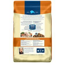 Blue Buffalo Blue Life Protection Formula Large Breed Senior Chicken Brown Rice Recipe Dry Dog Food 30 Lbs 30 Lb Bag Dry Dog Food Dog Food Recipes Dog Food Brands