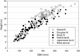 diameter and height allometry of the 6 conifer species and