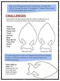 Brightly colored tropical freshwater fishes ; Fish Facts And Worksheets Kidskonnect