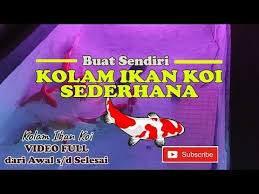 Penggemar ikan koi pastinya ingin memberikan yang terbaik untuk ikan peliharaan agar dapat tumbuh sehat dan berkembang dengan baik. Pembuatan Kolam Ikan Koi Dari Nol Youtube Kolam Ikan Koi Koi Ikan Koi