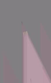 Image result for Synandrodaphne paradoxa