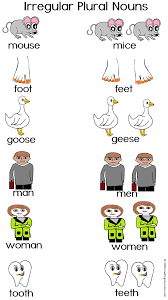 Reading2success Irregular Plural Nouns Mice Mouse And Calf Calve Irregular Plural Irregular Plural Nouns Singular And Plural Nouns Plural Nouns Activities