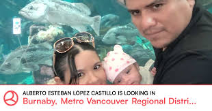 Looking for a roommate