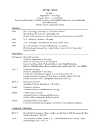curriculum vitae devah pager
