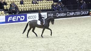 Dorothee schneider sichert sich schon das 3. Dorothee Schneider The Horse In Front Of The Hip Ride Better Tv