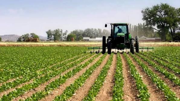 Agriculture and farming in Nigeria