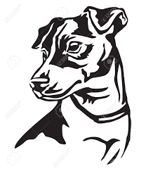 It is named after john russell, who first bred the dog. Jack Russell Black White Portrait Print Pet Picture Cute Dog Drawing Poster