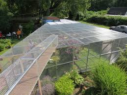 Garten mit uberkletterschutz experte fur katzennetze anbringen Volierenbau Monning Voliere Kafig Gehege Volierenbau Volierenelement Aluvoliere Volieren Volierengitter Volierendraht Volierenbausatz Voliere Selber Bauen Innenvoliere Aussenvoliere Volierenbilder Ruckblick