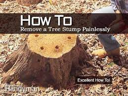 How To Remove A Tree Stump Painlessly Landscaping Around Trees Tree Stump Plant Care Today