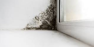Pin On Residential Mold Inspection