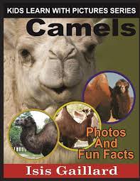 If you are unsure, check out the next step in the sequence, which should give. Camels Photos And Fun Facts For Kids Kids Learn With Pictures Gaillard Isis 9781623276836 Amazon Com Books