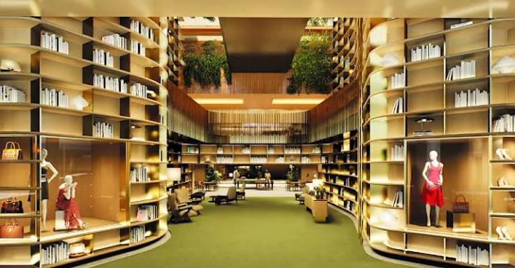 Retail Rarity: A Department Store Rises in Brazil