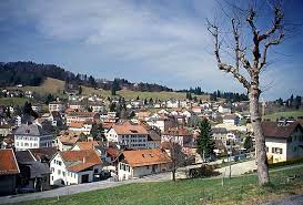 Roads, streets and buildings on satellite photos; Sainte Croix Switzerland Wikipedia