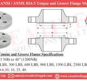 ASME/ANSI B16.5, B16.47 Tongue And Groove Flange Manufacturer