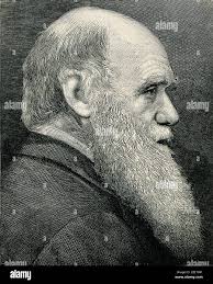 Charles darwin university hi-res stock photography and images