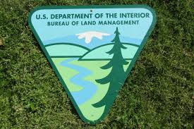 Us Department Of The Interior Bureau Of Land Management Wood Sign Authentic Park Sign Blue Green Triangle Sign V Triangle Sign Vintage Decor Land Management