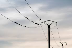 images?q=tbn:ANd9GcRF7lNhDraFH45RIgaCIfI