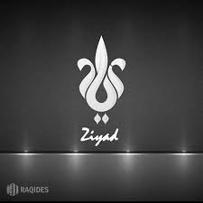 اسم زياد مكتوب علي صور Home Decor Decor Home Decor Decals