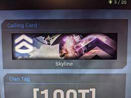 Canon cameras use an sd memory card to store images. What Is This Skyline Card Sergeant Charm Etc Had At Launch Modernwarfare