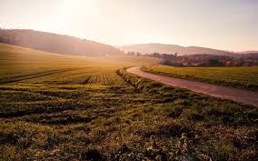 We did not find results for: Analiza Modificarile Aduse Legii Privind Vanzarea Terenurilor Agricole Situate In Extravilan Ar Putea Descuraja Tranzactiile Iar Preturile Ar Putea Creste Substantial Mobile