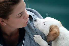 Jenna regan, a professional pet photographer in the dallas and. Grieving The Loss Of A Pet Brynna Connor Md