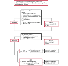 Diagnostic Flow Chart For Zsds A Very Long Chain Fatty