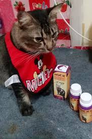 Ubat kurap paling mujarab, ubat kurap cap kaki tiga, ubat kurap, ubat kurap kucing, ubat kurap pada payudara, ubat kurap tradisional, ubat kurap manusia, ubat kurap sayuran, ubat kurap di. Merah Tak Mak Ngah Biar Mak Ngah Ubat Kurap Kucing Facebook
