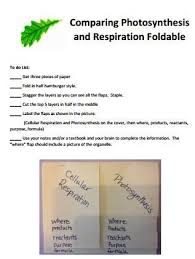 How To Clarify Photosynthesis Cellular Respiration A Free Foldable Photosynthesis And Cellular Respiration Photosynthesis Science Teaching Resources