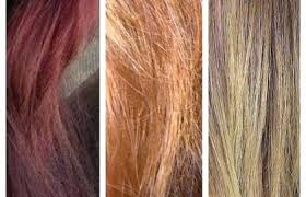 Lena Hoschek How To Use Hair Color Chart Shades Of Red