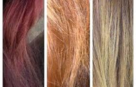 lena hoschek how to use hair color chart shades of red