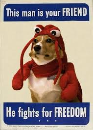 This Man Is Your Friend He Fights For Freedom Meme Lobster Corgi Fights For Your Freedom Via Corgiaddict Com Corgi Funny Cutest Dog Ever Dog Costume