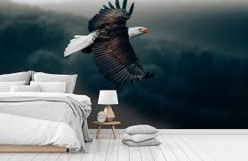 A guitar strap is as invaluable an accessory for musicians as the pick, and the choices can be daunting for a new guitarist. Flying Eagle Wallpaper
