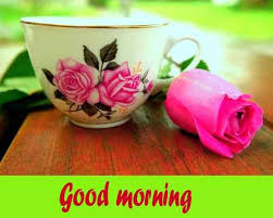 New Flower Wallpaper Good Morning