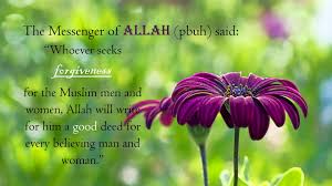 Check spelling or type a new query. Reward For Asking For Forgiveness For Believing Men And Women Islam Purple Flower Pictures Flowers Photography Gerbera Flower
