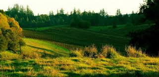 Meski begitu, semua karya seni, entah dibuat dari apapun, karya seni tetaplah sebuah karya yang mahal. Kumpulan Gambar Pemandangan Alam Indah Via Blogger Ift Tt Flickr