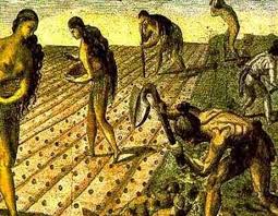 Resultado de imagen para historia economica