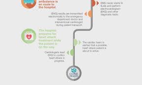 Cone Health My Chart Gallery Of Chart 2019