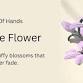 Chenille Flower event image