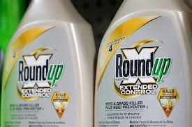 bayer
