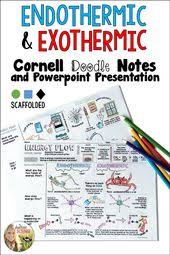 These Visual Notes On Endothermic And Exothermic Reactions And Processes Help To Clarify This Intuitively High School Chemistry Teaching Chemistry Doodle Notes