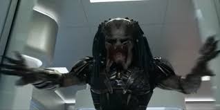 They're hunted down by other predators in order to. The Predator Franchise Is Now Locked In A Lawsuit Involving Disney Cinemablend