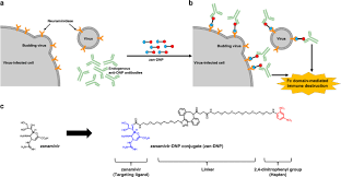 Influenza a/puertorico/8/34 (pr8) or a/cambridge/aho4/2009 (pandemic h1n1) viruses were inoculated onto a wide range of surfaces used in home and work environments, then sampled at set times following incubation at stabilised temperature and humidity. A Universal Dual Mechanism Immunotherapy For The Treatment Of Influenza Virus Infections Nature Communications